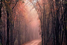 库里勇士生涯罚球数达到4000个，为队史第二多.