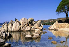 一竞技官网：李诗沣获得日本羽毛球大师赛男单冠军央视新闻客户端.